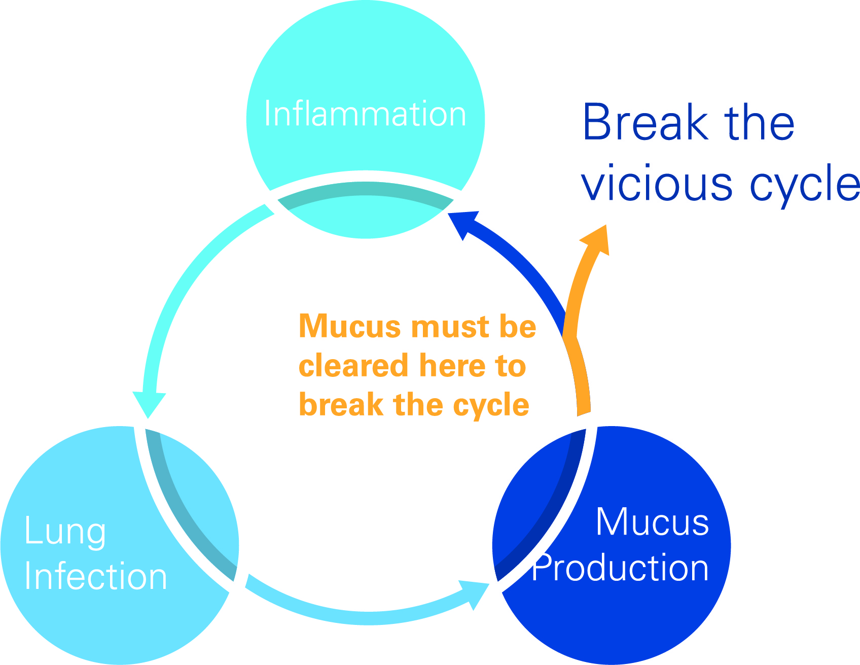 Vicious Cycle Image